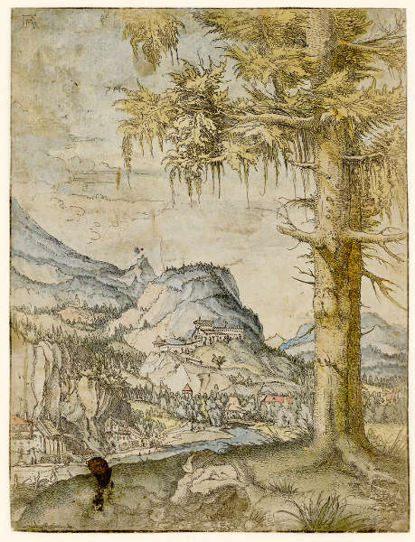 Albrecht Altdorfer, Landschaft mit großer Fichte, um 1517–1520, Radierung, aquarelliert, 23,2 x 17,7 cm (Wien, Albertina © Wien, Albertina Museum)