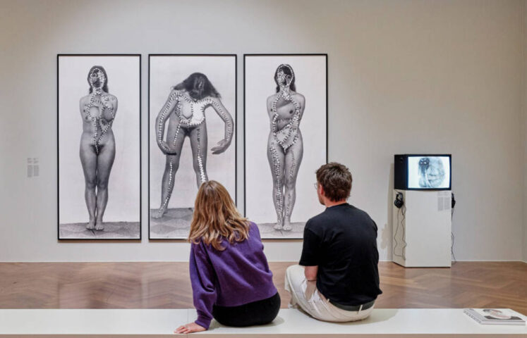 Annegret Soltau im Städel 2025, Installationsansicht, Foto: Städel Museum – Norbert Miguletz