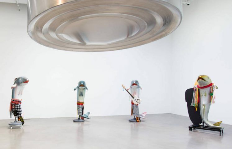 Cosima von Bonin, Fische