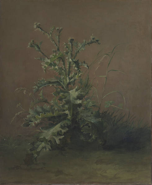 Édouard Manet, Distel, um 1880 (Sammlung Von der Heydt-Museum Wuppertal, Courtesy Von der Heydt-Museum Wuppertal, Foto: Medienzentrum Wuppertal)