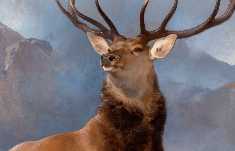 Edwin Landseer, The Monarch of the Glen, Detail, um 1851, Öl/Lw, 163.8 × 168.9 cm (Purchased by the National Galleries of Scotland as a part gift from Diageo Scotland Ltd, with contributions from the Heritage Lottery Fund, Dunard Fund, the Art Fund, the William Jacob Bequest, the Tam O’ Shanter Trust, the Turtleton Trust, and the K. T. Wiedemann Foundation, Inc. and through public appeal 2017 (NG 2881) © National Galleries of Scotland)