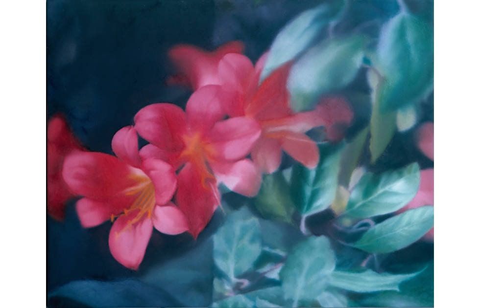 Gerhard Richter, Blumen, 1977, Öl auf Leinwand (Privatsammlung © Gerhard Richter 2023)