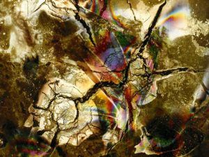 Heinz Hajek-Halke, Ohne Titel, Detail, 1950–1970, Farbpapier, Staatliche Museen zu Berlin, Kunstbibliothek, Sammlung Fotografie, © bpk / Staatliche Museen zu Berlin, Kunstbibliothek, Foto: Dietmar Katz