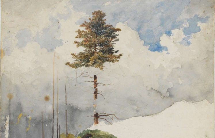 Heinrich Reinhold, Baum- und Wolkenstudie, Detail, um 1820, Aquarell (Ausschnitt) (© Klassik Stiftung Weimar, Graphische Sammlungen)