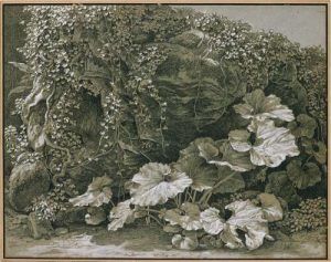 Johann Christian Reinhart, Große Blattpflanzen an efeuumrankter Felsgrotte, Schwarzer Stift, Deckweiß, bläulich-braunes Papier, um 1797-1805, Kupferstichkabinett – Staatliche Museen zu Berlin, © bpk / Kupferstichkabinett, SMB / Jörg P. Anders