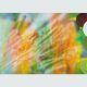 Katharina Grosse, Ohne Titel, 2005, Acryl auf Leinwand, 299 x 602 cm (Kunstmuseum Bern, Schenkung Frau Marlies Kornfeld, Bern, für die Abteilung Gegenwart © 2022, ProLitteris, Zurich)