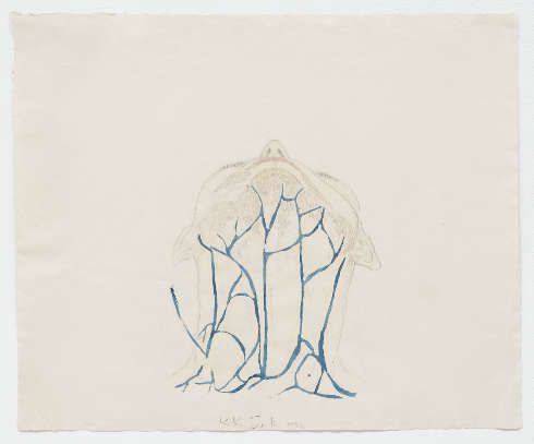Kiki Smith, Looking Up with Veins, 1995, Bleistift, Buntstift und Tinte auf Papier, 52,7 x 64,1 cm (© Kiki Smith, courtesy Pace Gallery, Foto Ellen Labenski, courtesy Pace Gallery)