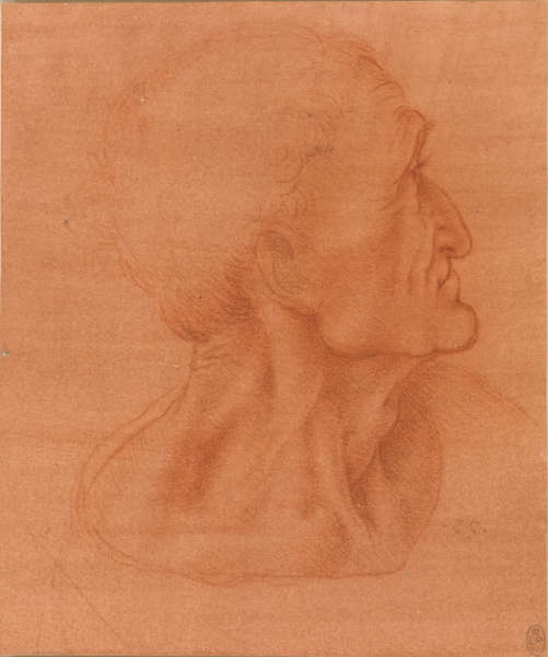 Leonardo da Vinci, Studie für den Kopf des Judas, um 1494–1498, Rote Kreide auf rot vorbereitetem Papier (Royal Collection Trust / © Her Majesty Queen Elizabeth II)