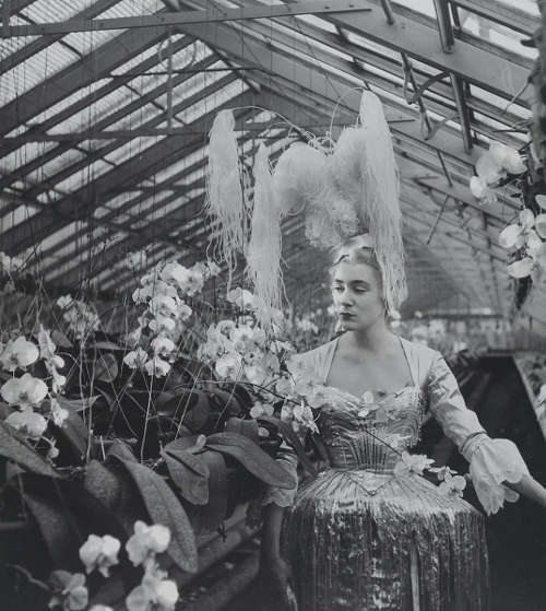 Madame d’Ora, Madame Faure in einem Kostüm von Pierre Balmain, 1953, Silbergelatineabzug, 23,5 x 21 cm (© Museum für Kunst und Gewerbe Hamburg)
