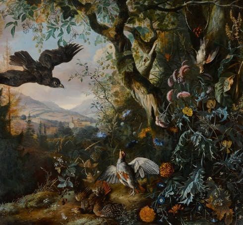 Matthias Withoos (zugeschrieben), Landschaft mit Vögeln und Blumen im Unterholz, 1660, Öl auf Leinwand, 146,7 x 154,9 cm (Privatsammlung, courtesy Sotheby’s New York)