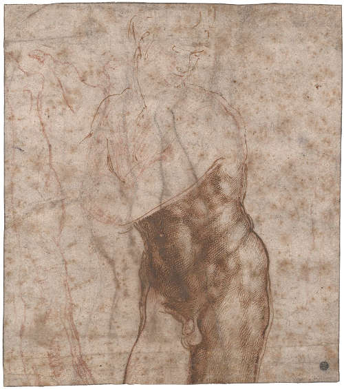 Michelangelo, Studien für eine Statue des Auferstandenen Christus (recto), 1518 (Privatsammlung)