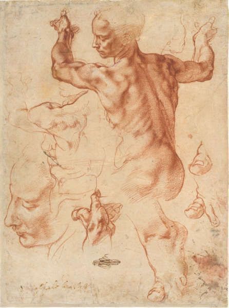 Michelangelo, Studien für die Libysche Sibylle (recto), um 1510/11, Rote Kreide, Blatt 28.9 x 21.4 cm (Metropolitan Museum of Art, New York, Purchase, Joseph Pulitzer Bequest, 1924 24.197.2)