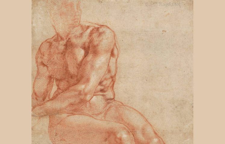 Michelangelo, Studien für einen sitzenden Männerakt (Ignudo), Detail, 1508–1512, Rote Kreide, Blatt 26.8 x 18.8 cm (Graphische Sammlung Albertina, Wien, 120 SL.6.2017.46.5)