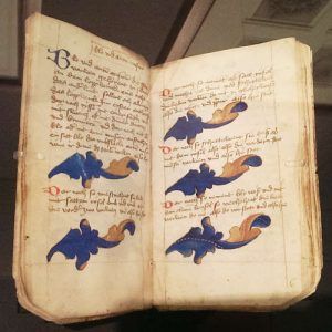 Anonym, Muster- und Lehrbuch zur Gestaltung von Blattranken, Ober- oder Mittelrhein (Mainz?), um 1450–1460, Feder in Tinte, Deckfarben, 18 Blatt, 16 x 9,8 cm (Kupferstichkabinett, Staatliche Museen zu Berlin), Foto: Alexandra Matzner, ARTinWORDS