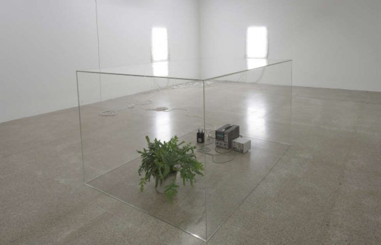 Nina Canell, Ausstellungsansicht mumok 2010