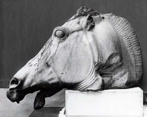 Parthenon, Ostgiebel, Pferdekopf vom Wagen der Selene (© British Museum)