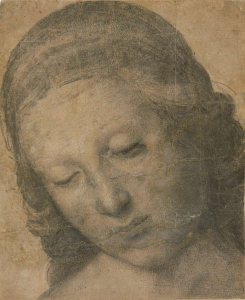 Raffael, Kopf der Madonna Terranuova, Fragment des Kartons, um 1505, Zeichnung auf Papier, 18,1 x 14,9 cm (© Staatliche Museen zu Berlin, Kupferstichkabinett / Dietmar Katz)