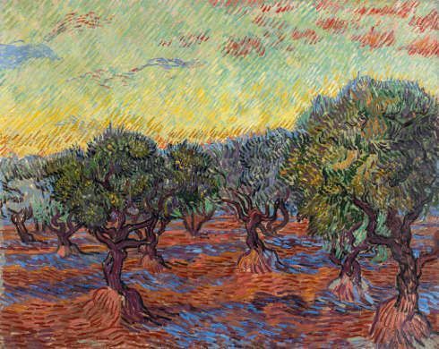 Vincent van Gogh, Olivehain oranger Himmel, November 1889 (Göteborgs Museum of Art, Göteborg, F586)