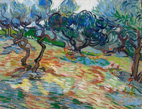 Vincent van Gogh, Olivenbäume, Juni–Juli 1889, ÖlLw, 51,2 x 65,3 cm (National Galleries Scotland. erworben 1934)