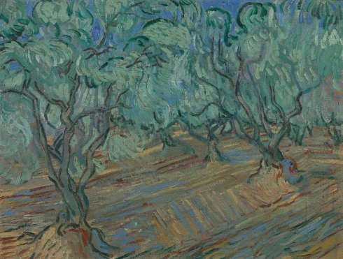 Vincent van Gogh, Olivenhain, Saint-Rémy-de-Provence, Juni 1889, ÖlLw, 45.3 x 59.1 cm (© Van Gogh Museum, Amsterdam, Vincent van Gogh Foundation)