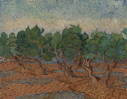 Vincent van Gogh, Olivenhain, Saint-Rémy-de-Provence, November–Dezember 1889, ÖlLw, 73,2 x 92,2 cm (© Van Gogh Museum, Amsterdam, Vincent van Gogh Foundation)
