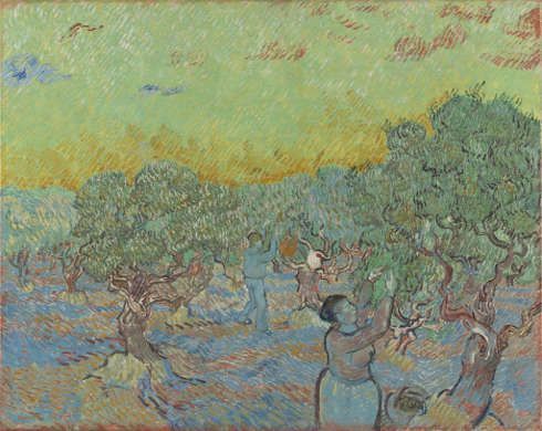 Amsterdam | Van Gogh Museum: Van Gogh und die Olivenhaine | ARTinWORDS