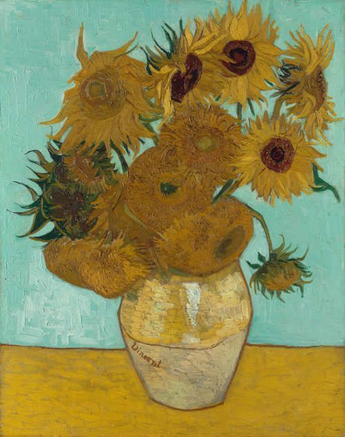 Vincent van Gogh, Sonnenblumen, 1888, Öl/Lw, 92 x 73 cm (Neue Pinakothek, München, 1912 als anonyme Schenkung im Rahmen der Tschudi-Spende erworben, Inv. Nr. 8672)