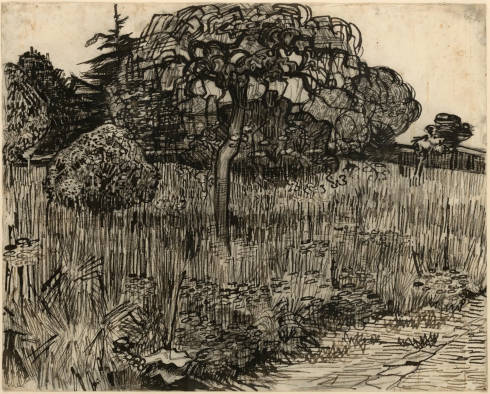 Vincent van Gogh, Weinender Baum, Mai 1889, Schilffeder und schwarzbraune Tinte, mit schwarzer Kreide auf wollweißem Velin, 49,3 × 61,3 cm (Art Institute of Chicago (gift of Tiffany and Margaret Blake, Inv.-Nr. 1945.31)