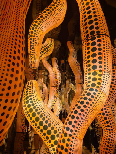 Yayoi Kusama Ausstellungen 2026 ARTinWORDS