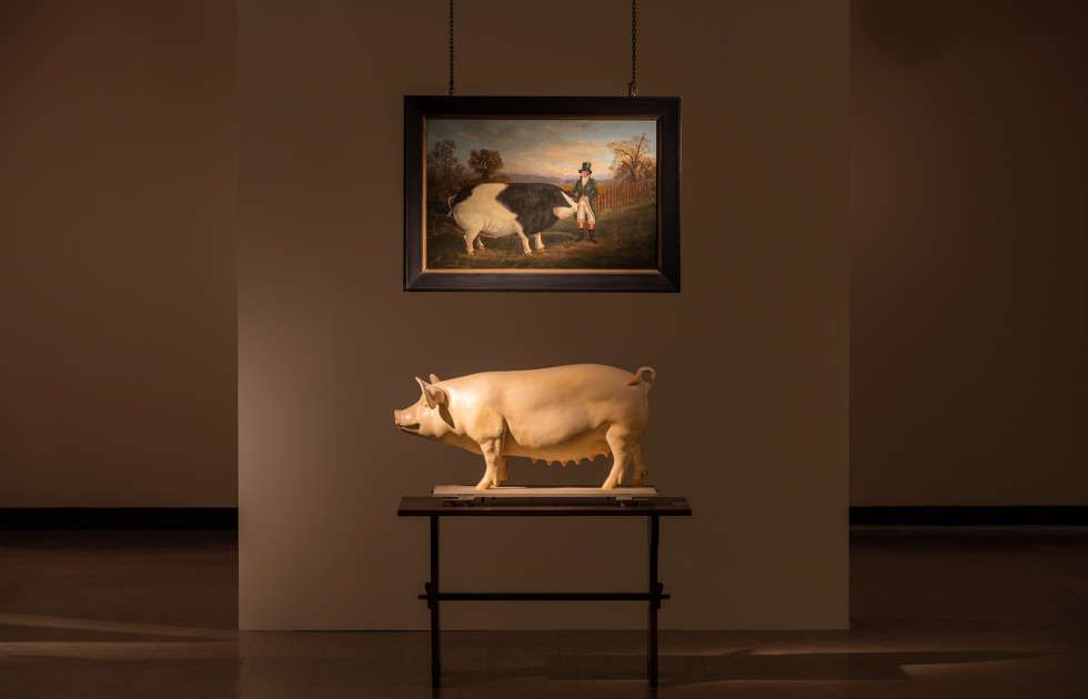 Ydessa Hendeles, Prize, 2015: Detail aus Death to Pigs, 2015–2016, Ausstellungsansicht: Ydessa Hendeles. Death to Pigs, Kunsthalle Wien 2018, Foto: Stephan Wyckoff © Ydessa Hendeles, Courtesy die Künstlerin
