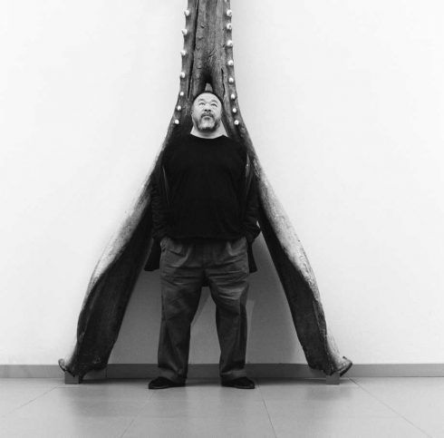 Ai Weiwei © Belvedere, Wien.