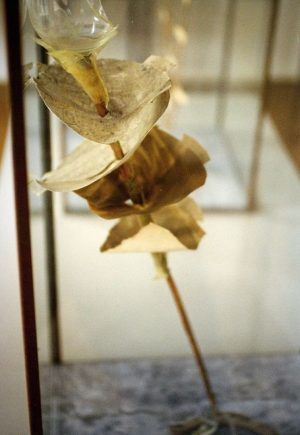 Anselm Kiefer, Himmelspaläste, IX: AZILUTH JESIRA BERIJAH AZIRAH.