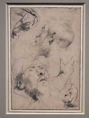 Peter Paul Rubens, Studienblatt mit vier Händen und zwei Männerköpfen, um 1613, Kreide, Installationsansicht in der Albertina, Foto: Alexandra Matzner.