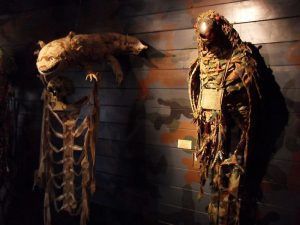 Fiona Hall, Installation auf der dOCUMENTA (13) 2012, Installationsfoto: Alexandra Matzner.