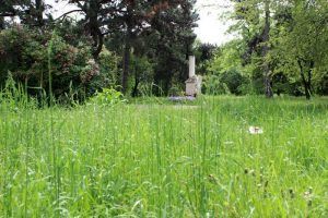 Grabdenkmal von Wolfgang Amadeus Mozart (davor Grasfläche), Wien, Friedhof von St. Marx, Foto: Alexandra Matzner.