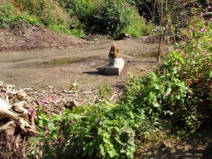 Pierre Huyghe, Untilled, 2012, auf der dOCUMENTA (13) 2012, Installationsfoto: Alexandra Matzner.