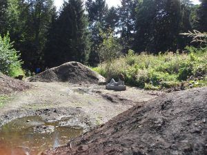 Pierre Huyghe, Untilled, 2012, in der Karlsaue, dOCUMENTA (13) 2012, Installationsfoto: Alexandra Matzner.