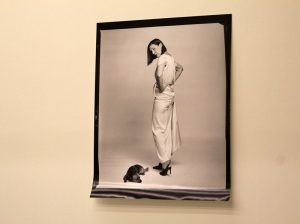 Elfie Semotan, Martha Jungwirth, Ausstellungsansicht in der Kunsthalle Krems, 2013, Foto: Alexandra Matzner.