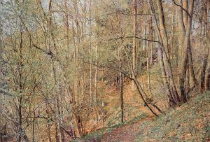 Franz Gertsch, Frühling, 2009-2011, Eitempera auf ungrundierter Baumwolle, 325 x 480 cm, Besitz des Künstlers © Franz Gertsch, 2013, Foto: Dominique Uldry, Bern.