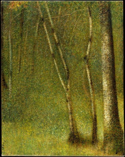 Georges Seurat, Wald bei Pontaubert, 1881, Öl auf Leinwand, 79.1 x 62.5 cm (Metropolitan Museum of Art, New York, Purchase, Gift of Raymonde Paul, in memory of her brother, C. Michael Paul, by exchange, 1985, Inv.-Nr. 1985.237)
