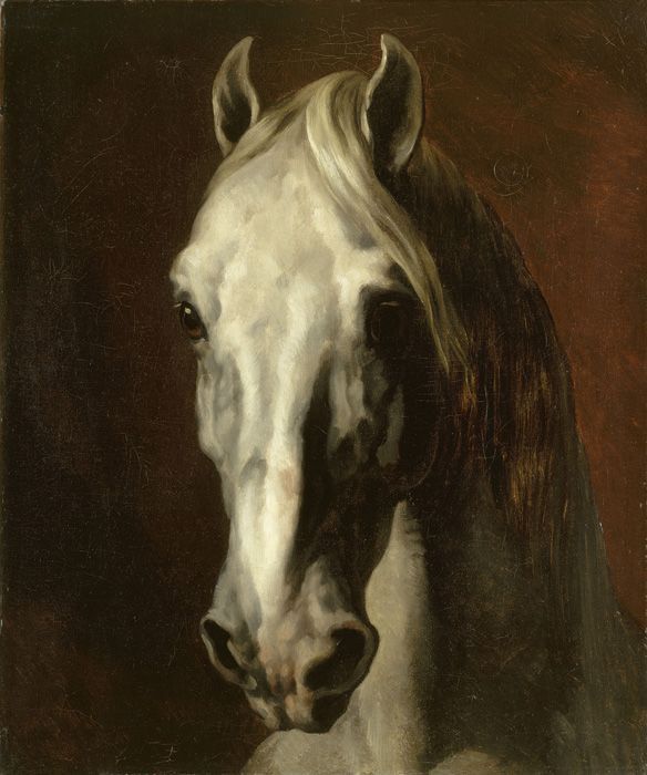 Thédore Géricault, Tête de cheval blanc, 1816–1817, Öl auf Leinwand, 65 cm x 54 cm (gerahmt 94 cm x 82 cm) Musée du Louvre, Paris bpk | RMN - Grand Palais | Thierry Le Mage.