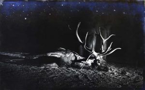 Marcell Esterházy, The End of the Long March, 2011, Foto, Diasec, 110 x 65 cm, © Marcell Esterházy.