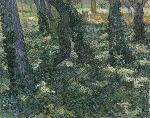Vincent van Gogh, Unterholz, Saint-Rémy-de-Provence Juli 1889, Öl auf Leinwand, 73 × 92,3 cm (Van Gogh Museum, Amsterdam / Vincent van Gogh Foundation)