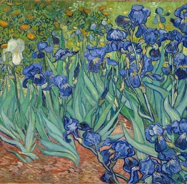 Vincent van Gogh Biografie: Lebenslauf und Werke des Malers