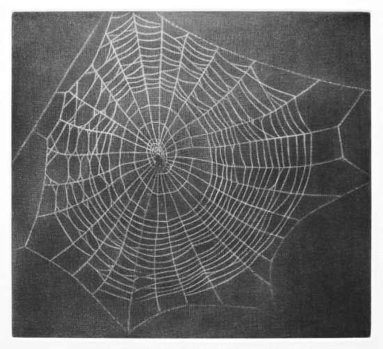 Vija Celmins, Untitled (Web 1), 2001, Mezzotinto, Motiv: 17,8 x 19,7 cm Blatt: 45,7 x 37,5 cm Gedruckt von Jacob Samuel Verlegt von Lapiss Press, Los Angeles.