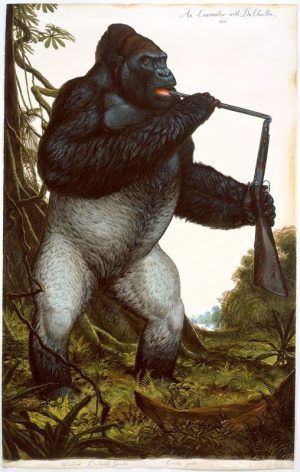 Walton Ford, An Encounter with Du Chaillu, 2009, Aquarell, Gouache, Tinte und Bleistift auf Papier © Walton Ford, Courtesy Paul Kasmin Gallery.