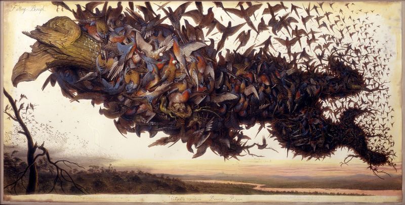 Walton Ford, Falling Bough, 2002, Aquarell, Gouache, Tinte und Bleistift auf Papier © Walton Ford, Courtesy Paul Kasmin Gallery.