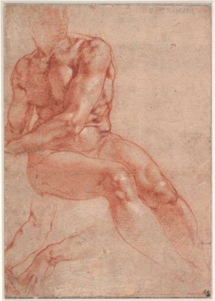 Michelangelo, Studien für einen sitzenden Männerakt (Ignudo), 1508–1512, Rote Kreide, Blatt 26.8 x 18.8 cm (Graphische Sammlung Albertina, Wien, 120 SL.6.2017.46.5)
