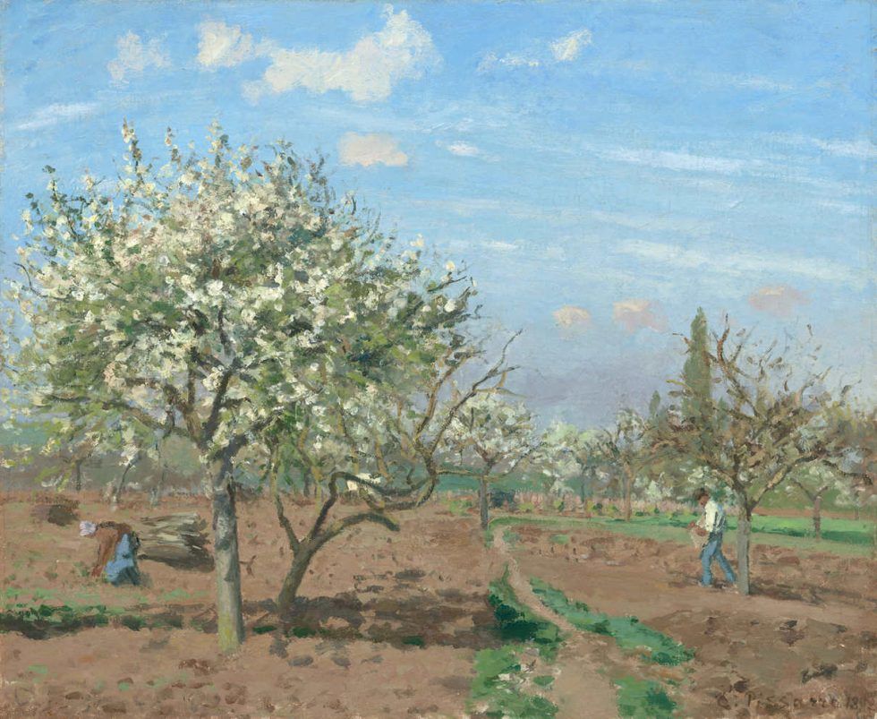 Camille Pissarro, Blühende Obstbäume, Louveciennes 1872, Öl auf Leinwand, 45,1 x 54,9 cm (National Gallery of Art, Washington, Ailsa Mellon Bruce Collection 1970.17.51)