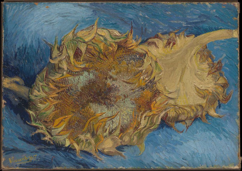 Vincent van Gogh, Zwei Sonnenblumen, Sommer 1887, Öl auf Leinwand, 43,2 x 61 cm (The Metropolitan Museum of Art, New York, Rogers Fund)